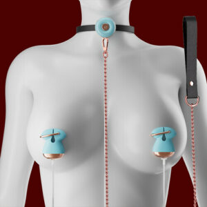 Verstellbare Nippelklemmen mit BDSM-Halsband, Nippel-Spielzeug für Paare